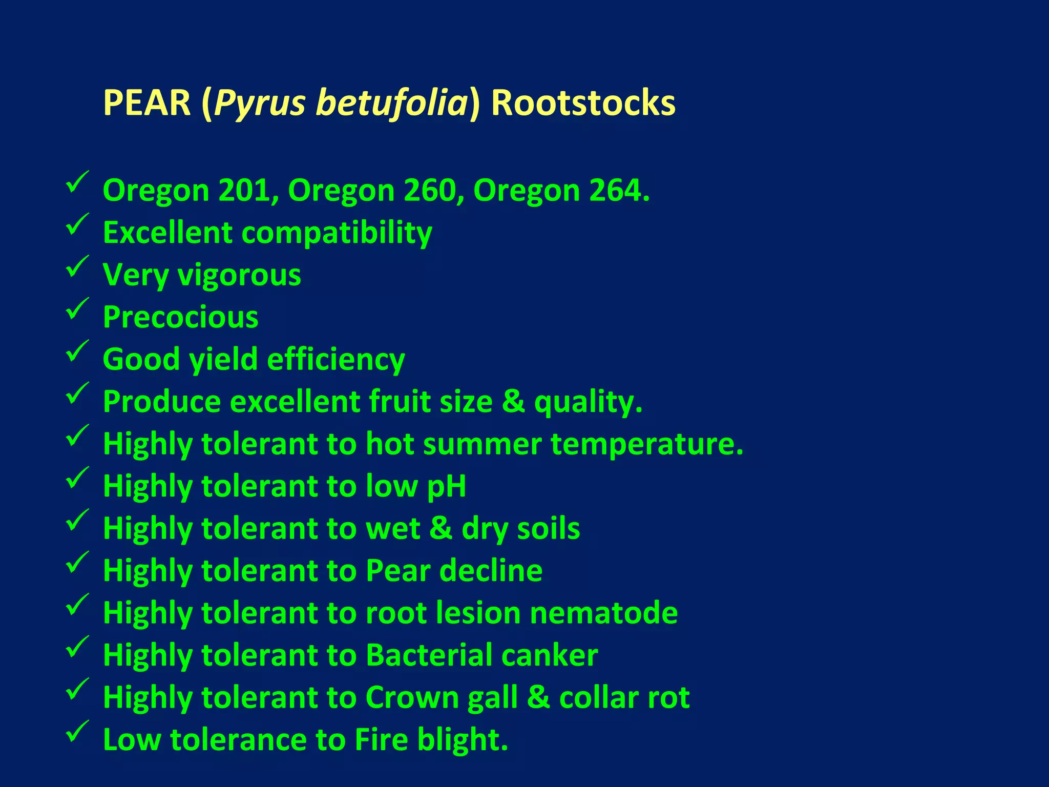 PEAR (Pyrus betufolia) Rootstocks
 Oregon 201, Oregon 260, Oregon 264.
 Excellent compatibility
 Very vigorous
 Precocious
 Good yield efficiency
 Produce excellent fruit size & quality.
 Highly tolerant to hot summer temperature.
 Highly tolerant to low pH
 Highly tolerant to wet & dry soils
 Highly tolerant to Pear decline
 Highly tolerant to root lesion nematode
 Highly tolerant to Bacterial canker
 Highly tolerant to Crown gall & collar rot
 Low tolerance to Fire blight.
 