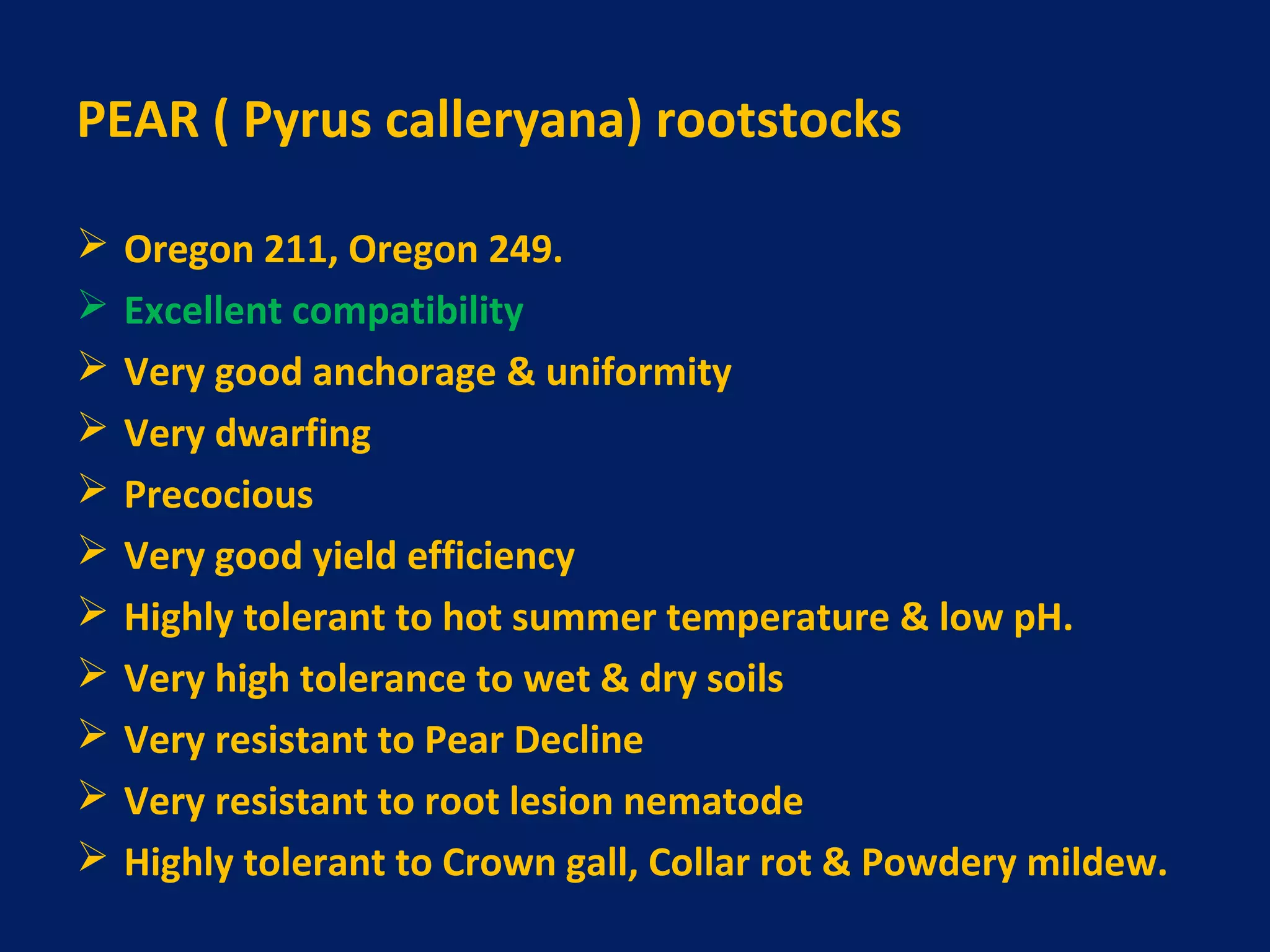 PEAR ( Pyrus calleryana) rootstocks
 Oregon 211, Oregon 249.
 Excellent compatibility
 Very good anchorage & uniformity
 Very dwarfing
 Precocious
 Very good yield efficiency
 Highly tolerant to hot summer temperature & low pH.
 Very high tolerance to wet & dry soils
 Very resistant to Pear Decline
 Very resistant to root lesion nematode
 Highly tolerant to Crown gall, Collar rot & Powdery mildew.
 