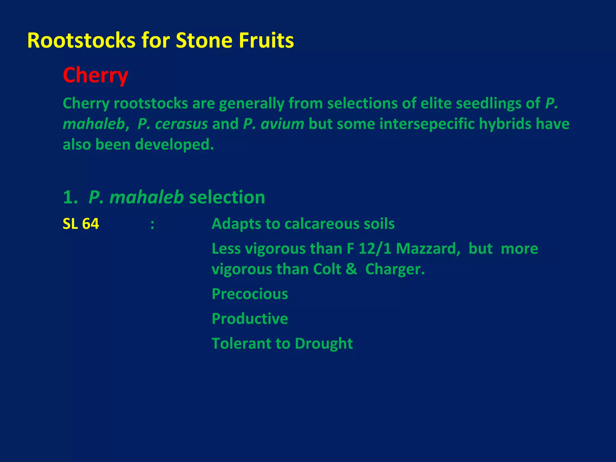 Rootstocks for Stone Fruits
Cherry
Cherry rootstocks are generally from selections of elite seedlings of P.
mahaleb, P. cerasus and P. avium but some intersepecific hybrids have
also been developed.
1. P. mahaleb selection
SL 64 : Adapts to calcareous soils
Less vigorous than F 12/1 Mazzard, but more
vigorous than Colt & Charger.
Precocious
Productive
Tolerant to Drought
 
