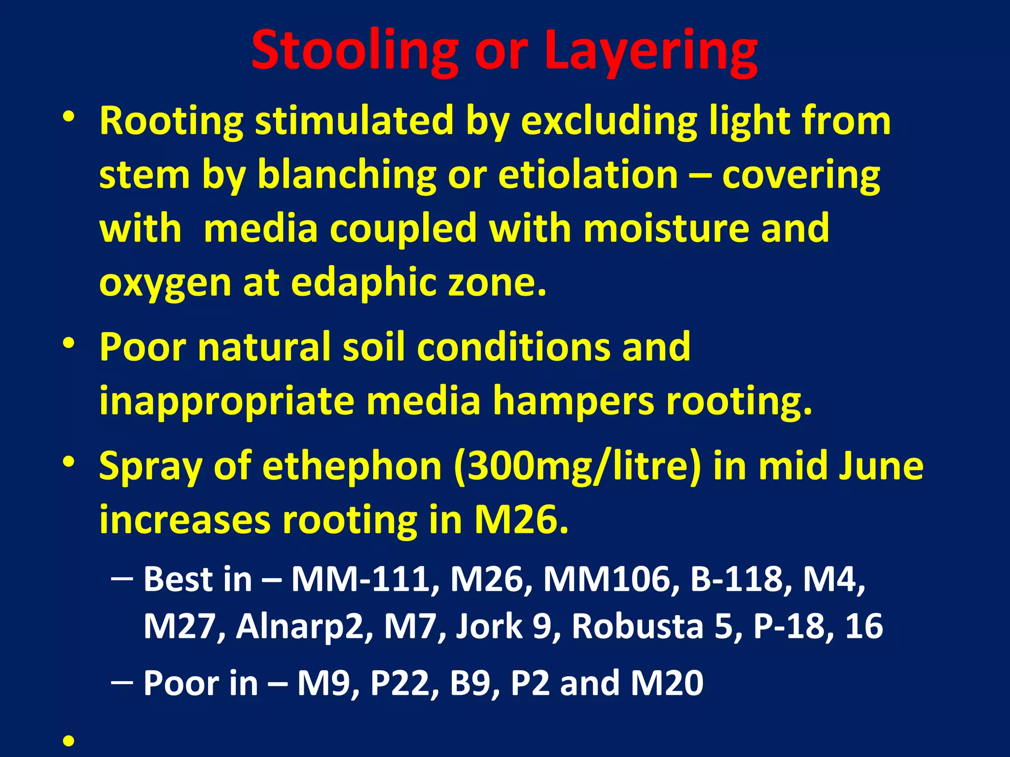 Stooling or Layering
• Rooting stimulated by excluding light from
stem by blanching or etiolation – covering
with media coupled with moisture and
oxygen at edaphic zone.
• Poor natural soil conditions and
inappropriate media hampers rooting.
• Spray of ethephon (300mg/litre) in mid June
increases rooting in M26.
– Best in – MM-111, M26, MM106, B-118, M4,
M27, Alnarp2, M7, Jork 9, Robusta 5, P-18, 16
– Poor in – M9, P22, B9, P2 and M20
•
 