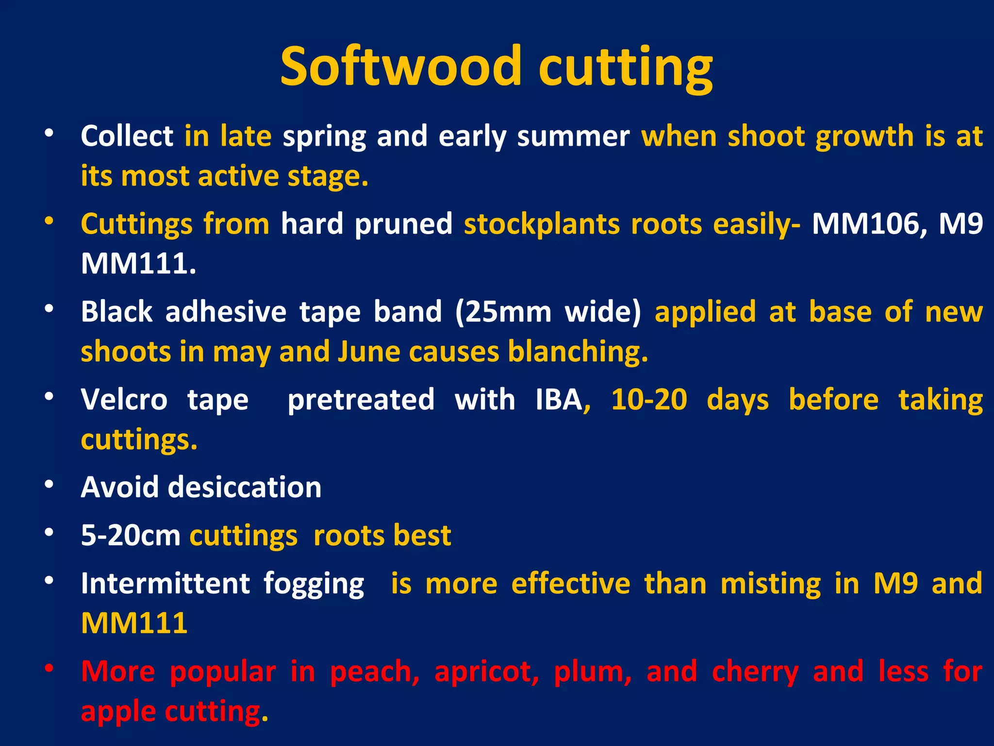 Softwood cutting
• Collect in late spring and early summer when shoot growth is at
its most active stage.
• Cuttings from hard pruned stockplants roots easily- MM106, M9
MM111.
• Black adhesive tape band (25mm wide) applied at base of new
shoots in may and June causes blanching.
• Velcro tape pretreated with IBA, 10-20 days before taking
cuttings.
• Avoid desiccation
• 5-20cm cuttings roots best
• Intermittent fogging is more effective than misting in M9 and
MM111
• More popular in peach, apricot, plum, and cherry and less for
apple cutting.
 