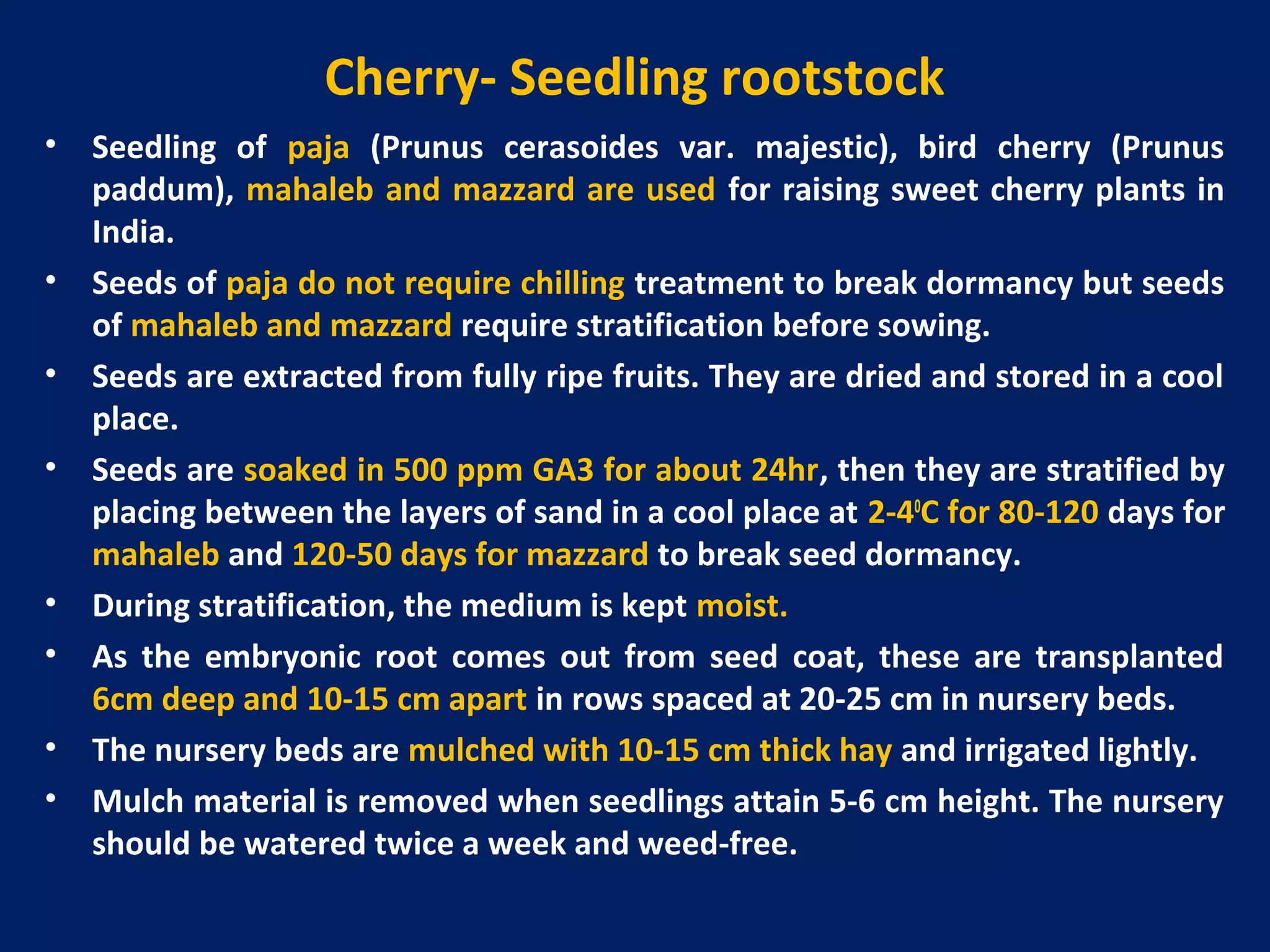 Cherry- Seedling rootstock
• Seedling of paja (Prunus cerasoides var. majestic), bird cherry (Prunus
paddum), mahaleb and mazzard are used for raising sweet cherry plants in
India.
• Seeds of paja do not require chilling treatment to break dormancy but seeds
of mahaleb and mazzard require stratification before sowing.
• Seeds are extracted from fully ripe fruits. They are dried and stored in a cool
place.
• Seeds are soaked in 500 ppm GA3 for about 24hr, then they are stratified by
placing between the layers of sand in a cool place at 2-40
C for 80-120 days for
mahaleb and 120-50 days for mazzard to break seed dormancy.
• During stratification, the medium is kept moist.
• As the embryonic root comes out from seed coat, these are transplanted
6cm deep and 10-15 cm apart in rows spaced at 20-25 cm in nursery beds.
• The nursery beds are mulched with 10-15 cm thick hay and irrigated lightly.
• Mulch material is removed when seedlings attain 5-6 cm height. The nursery
should be watered twice a week and weed-free.
 