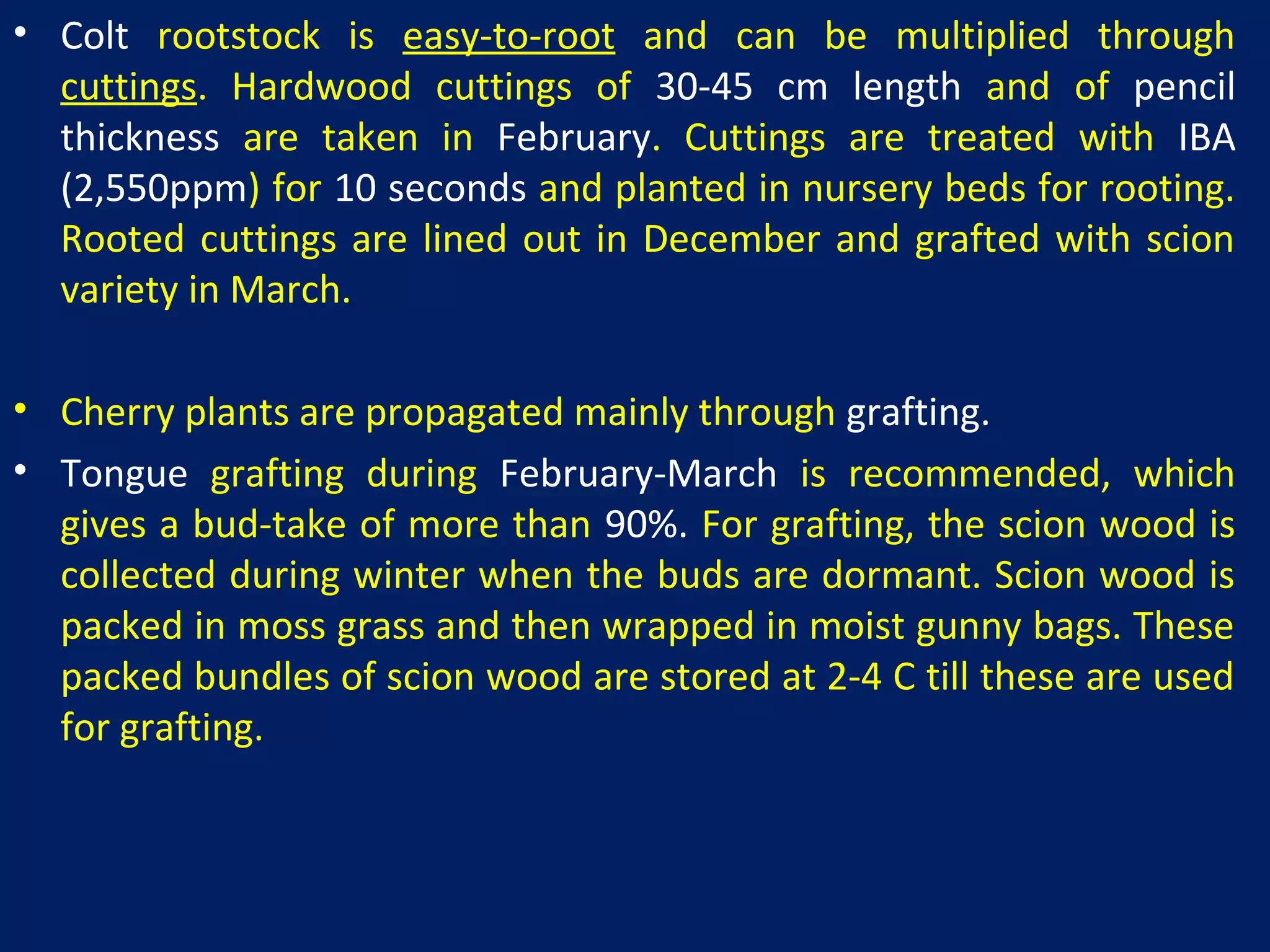 • Colt rootstock is easy-to-root and can be multiplied through
cuttings. Hardwood cuttings of 30-45 cm length and of pencil
thickness are taken in February. Cuttings are treated with IBA
(2,550ppm) for 10 seconds and planted in nursery beds for rooting.
Rooted cuttings are lined out in December and grafted with scion
variety in March.
• Cherry plants are propagated mainly through grafting.
• Tongue grafting during February-March is recommended, which
gives a bud-take of more than 90%. For grafting, the scion wood is
collected during winter when the buds are dormant. Scion wood is
packed in moss grass and then wrapped in moist gunny bags. These
packed bundles of scion wood are stored at 2-4 C till these are used
for grafting.
 