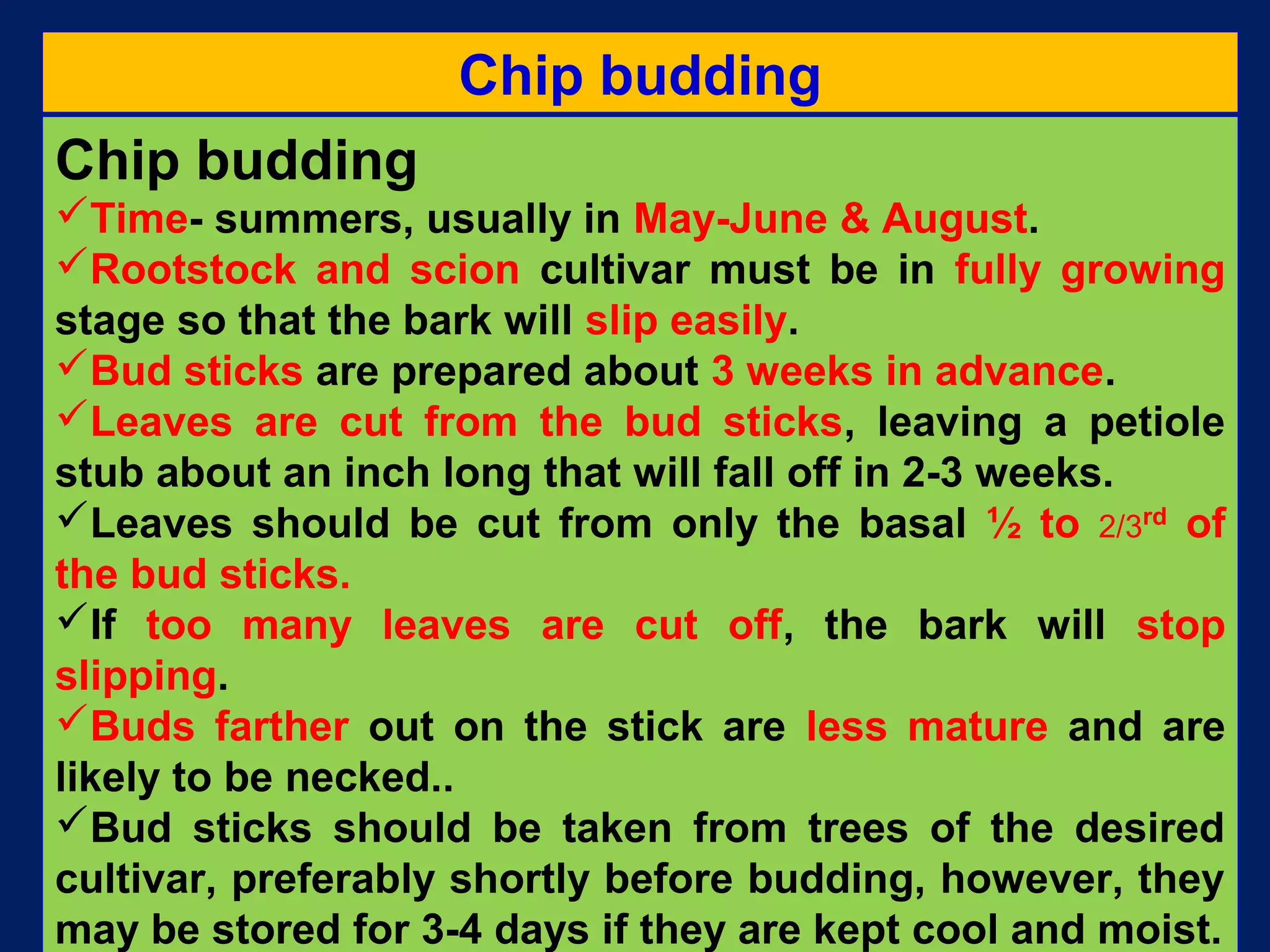 Chip budding
Time- summers, usually in May-June & August.
Rootstock and scion cultivar must be in fully growing
stage so that the bark will slip easily.
Bud sticks are prepared about 3 weeks in advance.
Leaves are cut from the bud sticks, leaving a petiole
stub about an inch long that will fall off in 2-3 weeks.
Leaves should be cut from only the basal ½ to 2/3rd
of
the bud sticks.
If too many leaves are cut off, the bark will stop
slipping.
Buds farther out on the stick are less mature and are
likely to be necked..
Bud sticks should be taken from trees of the desired
cultivar, preferably shortly before budding, however, they
may be stored for 3-4 days if they are kept cool and moist.
Chip budding
 