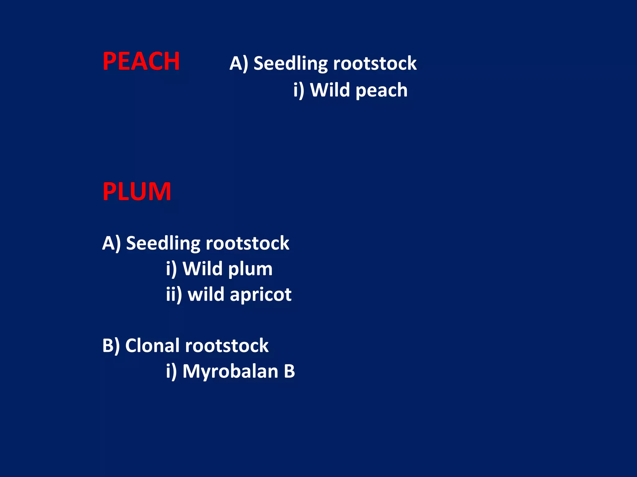 PEACH A) Seedling rootstock
i) Wild peach
PLUM
A) Seedling rootstock
i) Wild plum
ii) wild apricot
B) Clonal rootstock
i) Myrobalan B
 