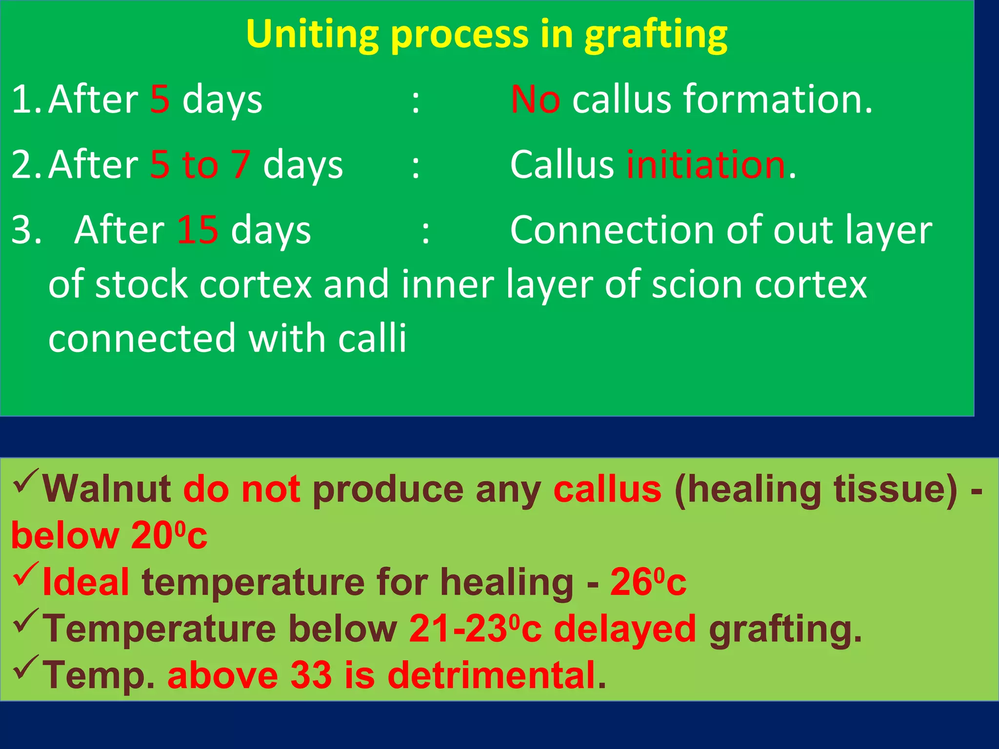 Uniting process in grafting
1.After 5 days : No callus formation.
2.After 5 to 7 days : Callus initiation.
3. After 15 days : Connection of out layer
of stock cortex and inner layer of scion cortex
connected with calli
Walnut do not produce any callus (healing tissue) -
below 200
c
Ideal temperature for healing - 260
c
Temperature below 21-230
c delayed grafting.
Temp. above 33 is detrimental.
 
