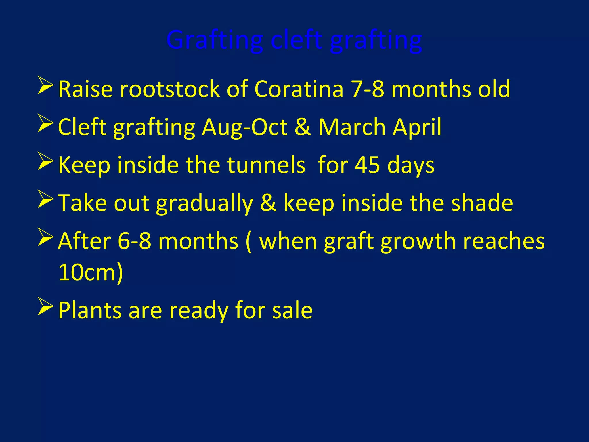 Grafting cleft grafting
Raise rootstock of Coratina 7-8 months old
Cleft grafting Aug-Oct & March April
Keep inside the tunnels for 45 days
Take out gradually & keep inside the shade
After 6-8 months ( when graft growth reaches
10cm)
Plants are ready for sale
 