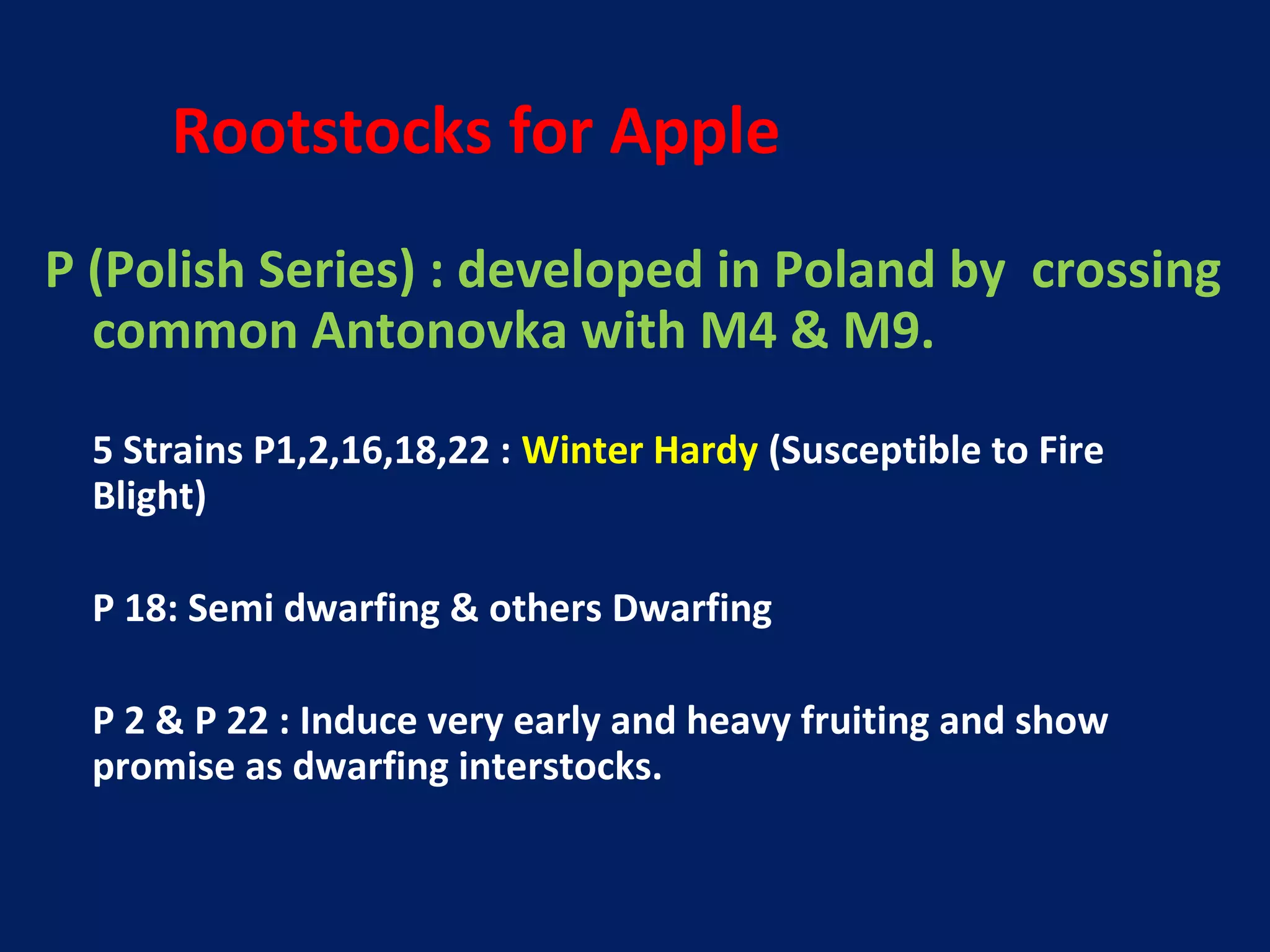 Rootstocks for Apple
P (Polish Series) : developed in Poland by crossing
common Antonovka with M4 & M9.
5 Strains P1,2,16,18,22 : Winter Hardy (Susceptible to Fire
Blight)
P 18: Semi dwarfing & others Dwarfing
P 2 & P 22 : Induce very early and heavy fruiting and show
promise as dwarfing interstocks.
 