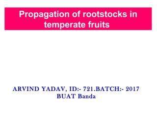 Propagation of rootstocks in
temperate fruits
ARVIND YADAV, ID:- 721.BATCH:- 2017
BUAT Banda
 