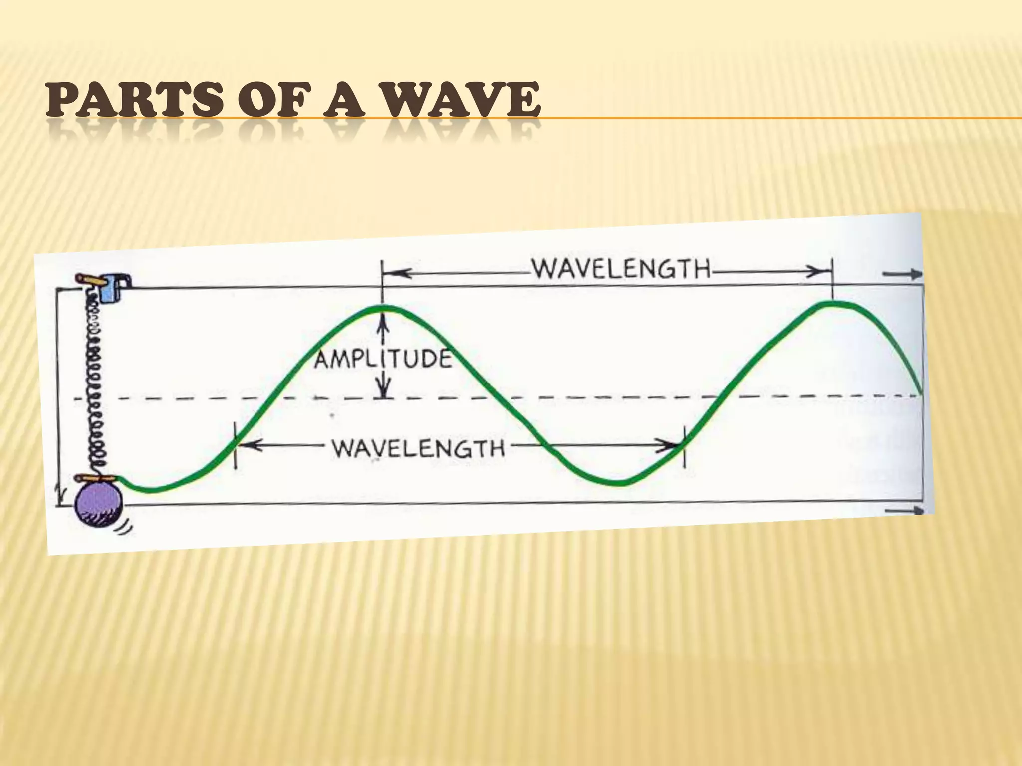 Parts of a WaveCrest= High point of a wave.Trough=Low point of a wave.Amplitude (A)= Distance from the midpoint to the crest.Wavelength (λ)= The length of one complete wave.