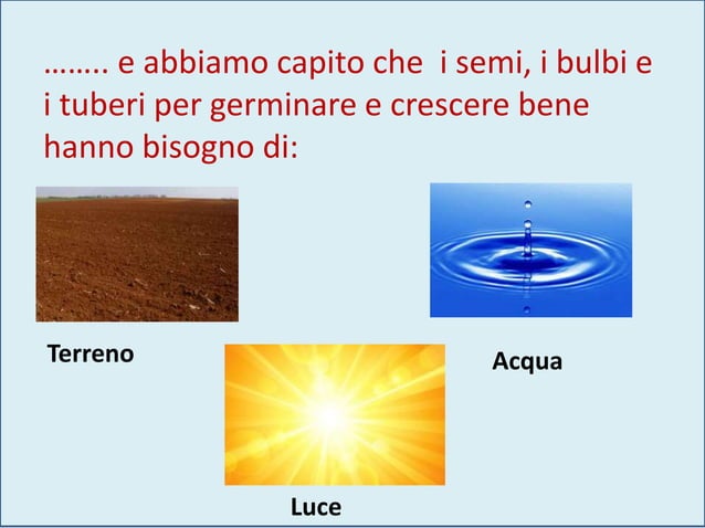 Stazione di propagazione delle piante, terrario per piante da tavolo, vasi idroponici in vetro, vasi per propagazione di piante acquatiche, regali per il giardinaggio per donne, mamme amanti delle