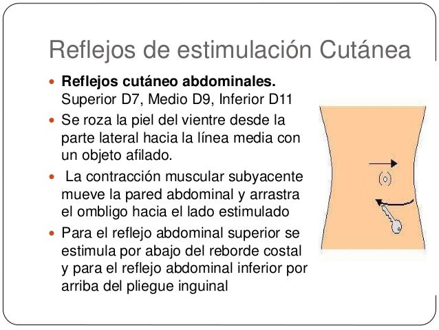 El vídeo como adelgazar en las caderas y las nalgas en las condiciones de casa en una semana