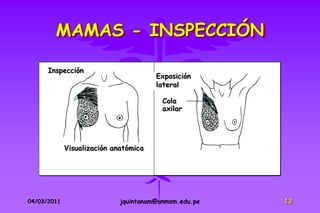 MAMAS - INSPECCIÓN

      Inspección
                                       Exposición
                                       lateral

                                         Cola
                                         axilar




             Visualización anatómica




04/03/2011                   jquintanam@unmsm.edu.pe   13
 