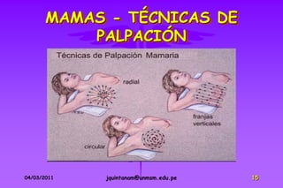 MAMAS - TÉCNICAS DE
           PALPACIÓN




04/03/2011   jquintanam@unmsm.edu.pe   15
 