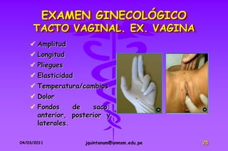 EXAMEN GINECOLÓGICO
     TACTO VAGINAL. EX. VAGINA
     Amplitud
     Longitud
     Pliegues
     Elasticidad
     Temperatura/cambios
     Dolor
     Fondos     de   saco:
      anterior, posterior y
      laterales.

04/03/2011          jquintanam@unmsm.edu.pe   25
 