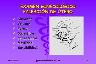 EXAMEN GINECOLÓGICO
              PALPACIÓN DE ÚTERO
        Situación
        Volumen
        Forma
        Superficie
        Consistencia
        Movilidad
        Sensibilidad.


04/03/2011          jquintanam@unmsm.edu.pe   27
 
