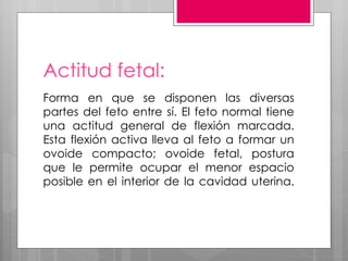 Propedeútica obstétrica | PPT