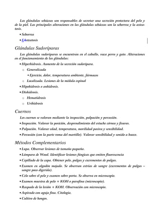Las glándulas sebáceas son responsables de secretar una secreción protectora del pelo y
de la piel. Las principales alteraciones en las glándulas sebáceas son la seborrea y la astea-
tosis.
• Seborrea
• EAsteatosis
Glándulas Sudoríparas
Las glándulas sudoríparas se encuentran en el caballo, vaca perro y gato. Alteraciones
en el funcionamiento de las glándulas:
• Hiperhidrosis. Aumento de la secreción sudorípara.
o Generalizada
Ejercicio, dolor, temperatura ambiente, fármacos
o Localizada. Lesiones de la médula espinal
• Hipohidrosis o anhidrosis.
• Dishidrosis.
o Hematidrosis
o Urihidrosis
Cuernos
Los cuernos se valoran mediante la inspección, palpación y percusión.
• Inspección. Valorar la posición, desprendimiento del estuche córneo y fisuras.
• Palpación. Valorar edad, temperatura, movilidad pasiva y sensibilidad.
• Percusión (con la parte roma del martillo). Valorar sensibilidad y sonido a hueco.
Métodos Complementarios
• Lupa. Observar lesiones de tamaño pequeño.
• Lámpara de Wood. Identificar lesiones fúngicas que emiten fluorescencia
• Cepillado de la capa. Obtener pelo, pulgas y excrementos de pulgas.
• Examen en algodón mojado. Se observan estrías de sangre (excrementos de pulgas –
sangre poco digerida).
• Celo sobre el pelo y examen sobre porta. Se observa en microscopio.
• Examen muestra de pelo + KOH o parafina (microscopio).
• Raspado de la lesión + KOH. Observación con microscopio.
• Aspirado con aguja fina. Citología.
• Cultivo de hongos.
 