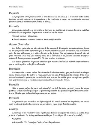 Propedéutica Clínica Exploración del Aparato Respiratorio
Nariz y Área Nasal
Palpación
La palpación sirve para valorar la sensibilidad de la zona, y si el animal sufre dolor;
también permite valorar la temperatura, y la existencia se zonas de consistencia anormal
(acumulación de exudados emblandece el hueso).
Percusión
En grandes animales, la percusión se hace con los nudillos de la mano, la parte metálica
del martillo; en pequeños, la percusión se realiza con los dedos.
• Sonido normal – timpánico.
• Sonido anormal – mate o submate. Indica inflamación.
Bolsas Guturales
Las bolsas guturales son divertículos de la trompa de Eustaquio, estructurados en forma
de dos compartimientos separados por el hueso estilohioideo; son bilaterales y se encuentran
entre la base del cráneo y el atlas, dorsales a la faringe. Son estructuras llenas de aire de
gran volumen (300 ml), que entra y sale; no se sabe cuál es su función (sistema de enfria-
miento de la temperatura corporal?). No dan muchos problemas.
Las bolsas guturales se pueden explorar por medios directos; el método complementario
que se puede aplicar es la fibroendoscopia.
Inspección
La inspección externa valora la existencia de abultamientos, que pueden indicar timpa-
nismo de las bolsas. En potros a veces ocurre que en una de las bolsas la válvula de la bolsa
es unidireccional – permite la entrada del aire pero no la salida; para corregir este proble-
ma, quirúrgicamente se realiza una comunicación entre las dos bolsas.
Palpación
Sólo se puede palpar la parte más dorsal (3 cm.) de la bolsa gutural, ya que la mayor
parte de la bolsa está tapada por la glándula parótida. La palpación permite valora consis-
tencia blanda, que indicaría timpanismo de las bolsas.
Percusión
La percusión que se realiza es digito-digital. El sonido normal es timpánico; un sonido
mate o submate indica la presencia de secreciones, y por tanto la inflamación.
Laringe
La laringe es un “cilindro” semi-rígido cuya función es regular la entrada y salida desde
y hacia el pulmón. La laringe está constituida por 5 cartílagos (de craneal a caudal):
• Epiglotis
• Aritenoides (2). “cabalgan” sobre el cartílago tiroides.
 