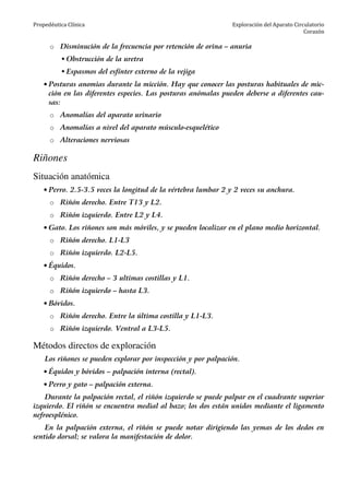 Propedéutica Clínica Exploración del Aparato Circulatorio
Corazón
o Disminución de la frecuencia por retención de orina – anuria
Obstrucción de la uretra
Espasmos del esfínter externo de la vejiga
• Posturas anomias durante la micción. Hay que conocer las posturas habituales de mic-
ción en las diferentes especies. Las posturas anómalas pueden deberse a diferentes cau-
sas:
o Anomalías del aparato urinario
o Anomalías a nivel del aparato músculo-esquelético
o Alteraciones nerviosas
Riñones
Situación anatómica
• Perro. 2.5-3.5 veces la longitud de la vértebra lumbar 2 y 2 veces su anchura.
o Riñón derecho. Entre T13 y L2.
o Riñón izquierdo. Entre L2 y L4.
• Gato. Los riñones son más móviles, y se pueden localizar en el plano medio horizontal.
o Riñón derecho. L1-L3
o Riñón izquierdo. L2-L5.
• Équidos.
o Riñón derecho – 3 ultimas costillas y L1.
o Riñón izquierdo – hasta L3.
• Bóvidos.
o Riñón derecho. Entre la última costilla y L1-L3.
o Riñón izquierdo. Ventral a L3-L5.
Métodos directos de exploración
Los riñones se pueden explorar por inspección y por palpación.
• Équidos y bóvidos – palpación interna (rectal).
• Perro y gato – palpación externa.
Durante la palpación rectal, el riñón izquierdo se puede palpar en el cuadrante superior
izquierdo. El riñón se encuentra medial al bazo; los dos están unidos mediante el ligamento
nefroesplénico.
En la palpación externa, el riñón se puede notar dirigiendo las yemas de los dedos en
sentido dorsal; se valora la manifestación de dolor.
 