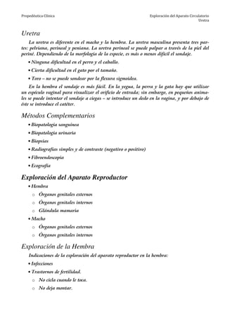 Propedéutica Clínica Exploración del Aparato Circulatorio
Uretra
Uretra
La uretra es diferente en el macho y la hembra. La uretra masculina presenta tres par-
tes: pelviana, perineal y peniana. La uretra perineal se puede palpar a través de la piel del
periné. Dependiendo de la morfología de la especie, es más o menos difícil el sondaje.
• Ninguna dificultad en el perro y el caballo.
• Cierta dificultad en el gato por el tamaño.
• Toro – no se puede sondear por la flexura sigmoidea.
En la hembra el sondaje es más fácil. En la yegua, la perra y la gata hay que utilizar
un espéculo vaginal para visualizar el orificio de entrada; sin embargo, en pequeños anima-
les se puede intentar el sondaje a ciegas – se introduce un dedo en la vagina, y por debajo de
éste se introduce el catéter.
Métodos Complementarios
• Biopatología sanguínea
• Biopatología urinaria
• Biopsias
• Radiografías simples y de contraste (negativo o positivo)
• Fibroendoscopia
• Ecografía
Exploración del Aparato Reproductor
• Hembra
o Órganos genitales externos
o Órganos genitales internos
o Glándula mamaria
• Macho
o Órganos genitales externos
o Órganos genitales internos
Exploración de la Hembra
Indicaciones de la exploración del aparato reproductor en la hembra:
• Infecciones
• Trastornos de fertilidad.
o No cicla cuando le toca.
o No deja montar.
 