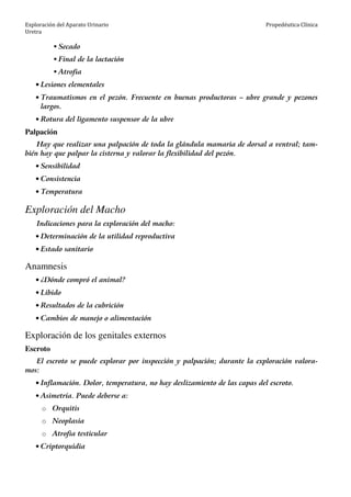 Exploración del Aparato Urinario
Uretra
Propedéutica Clínica
Secado
Final de la lactación
Atrofia
• Lesiones elementales
• Traumatismos en el pezón. Frecuente en buenas productoras – ubre grande y pezones
largos.
• Rotura del ligamento suspensor de la ubre
Palpación
Hay que realizar una palpación de toda la glándula mamaria de dorsal a ventral; tam-
bién hay que palpar la cisterna y valorar la flexibilidad del pezón.
• Sensibilidad
• Consistencia
• Temperatura
Exploración del Macho
Indicaciones para la exploración del macho:
• Determinación de la utilidad reproductiva
• Estado sanitario
Anamnesis
• ¿Dónde compró el animal?
• Libido
• Resultados de la cubrición
• Cambios de manejo o alimentación
Exploración de los genitales externos
Escroto
El escroto se puede explorar por inspección y palpación; durante la exploración valora-
mos:
• Inflamación. Dolor, temperatura, no hay deslizamiento de las capas del escroto.
• Asimetría. Puede deberse a:
o Orquitis
o Neoplasia
o Atrofia testicular
• Criptorquidia
 