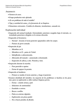 Exploración del Sistema Músculo-Esquelético
Cojeras en Ganado Vacuno
Propedéutica Clínica
Anamnesis
• Numero de casos.
• Grupo productivo más afectado.
• ¿Es un problema de todo el establo?
• Tipo y cantidad de cama, y la frecuencia de su limpieza.
• Situaciones estresantes. Cambio de alimento, instalaciones, saneado etc.
Exploración individual
• Inspección del animal tumbado. Extremidades anteriores recogidas bajo el esternón, ex-
tremidades posteriores dirigidas en la misma dirección.
• Inspección al levantarse.
o Normal – levanta el tercio posterior apoyándose sobre los carpos.
o Postura de perro sentado.
• Inspección de pie
o Miembros en X.
o Miembros en O – patas de Teckel.
o Sobreflexión o sobreextensión.
o Alteración del tamaño – aumentado o disminuido.
o Inspección de cabeza y cola. Posición y tono.
• Inspección durante la marcha.
o Paso parecido a equino.
o Forma de apoyar la pezuña.
• Inspección al tumbarse.
o Primero se tumba el tercio anterior, y luego el posterior.
• Examen detallado del miembro. La mayoría de los problemas se localiza en las pezu-
ñas; para su exploración se debe realizar limpieza previa.
o Forma – estuche córneo y piel.
o Soluciones de continuidad.
o Exudados o costras.
o Razas o anillos.
o Pulso en arterias digitales.
o Exploración con pinza podal.
o No se hacen pruebas de flexión.
 