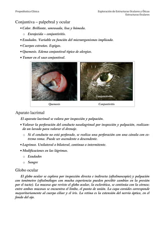 Propedéutica Clínica Exploración de Estructuras Oculares y Óticas
Estructuras Oculares
Conjuntiva – palpebral y ocular
• Color. Brillante, sonrosada, lisa y húmeda.
o Enrojecida – conjuntivitis.
• Exudados. Variable en función del microorganismos implicado.
• Cuerpos extraños. Espigas.
• Quemosis. Edema conjuntival típico de alergias.
• Tumor en el saco conjuntival.
Quemosis Conjuntivitis
Aparato lacrimal
El aparato lacrimal se valora por inspección y palpación.
• Valorar la perforación del conducto nasolagrimal por inspección y palpación, realizan-
do un lavado para valorar el drenaje.
o Si el conducto no está perforado, se realiza una perforación con una cánula con ex-
tremo roma. Puede ser ascendente o descendente.
• Lagrimeo. Unilateral o bilateral, continuo o intermitente.
• Modificaciones en las lágrimas.
o Exudados
o Sangre
Globo ocular
El globo ocular se explora por inspección directa e indirecta (oftalmoscopio) y palpación
con tonómetro (oftalmólogos con mucha experiencia pueden percibir cambios en la presión
por el tacto). La mucosa que reviste el globo ocular, la esclerótica, se continúa con la córnea;
entre ambas mucosas se encuentra el limbo, el punto de unión. La capa coroides corresponde
mayoritariamente al cuerpo ciliar y el iris. La retina es la extensión del nervio óptico, en el
fondo del ojo.
 