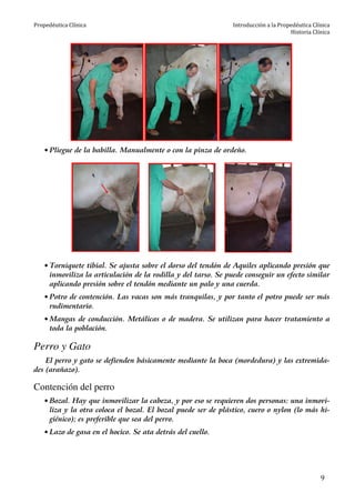 Propedéutica Clínica Introducción a la Propedéutica Clínica
Historia Clínica
9
• Pliegue de la babilla. Manualmente o con la pinza de ordeño.
• Torniquete tibial. Se ajusta sobre el dorso del tendón de Aquiles aplicando presión que
inmoviliza la articulación de la rodilla y del tarso. Se puede conseguir un efecto similar
aplicando presión sobre el tendón mediante un palo y una cuerda.
• Potro de contención. Las vacas son más tranquilas, y por tanto el potro puede ser más
rudimentario.
• Mangas de conducción. Metálicas o de madera. Se utilizan para hacer tratamiento a
toda la población.
Perro y Gato
El perro y gato se defienden básicamente mediante la boca (mordedura) y las extremida-
des (arañazo).
Contención del perro
• Bozal. Hay que inmovilizar la cabeza, y por eso se requieren dos personas: una inmovi-
liza y la otra coloca el bozal. El bozal puede ser de plástico, cuero o nylon (lo más hi-
giénico); es preferible que sea del perro.
• Lazo de gasa en el hocico. Se ata detrás del cuello.
 