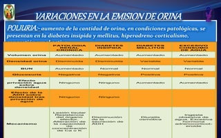 POLIURIA:- aumento de la cantidad de orina, en condiciones patológicas, se
presentan en la diabetes insípida y mellitus, hiperadreno-corticalismo,
congestión renal activa
VARIACIONESENLAEMISIONDE ORINA
PATOLOGIA
RENAL
CRONICA
DIABETES
INSIPIDA
DIABETES
MELLITUS
EXCESIVO
CONSUMO
DE AGUA
Volumen orina Aumentado Aumentado Aumentado Aumentado
Densidad orina Disminuida Disminuida Variable Variable
BUN Aumentado Normal Normal Normal
Glucosuria Negativa Negativa Positiva Positiva
Efecto
privación agua
sobre
densidad
Ninguno Ninguno Aumentado Aumentado
Efecto de la
ADH sobre
densidad tras
privación de
agua
Ninguno Ninguno
Mecanismo
Lesión tisular
Resistencia
del órgano
efector.
Alteración de
la capacidad
de
concentración
de Ca o K
Disminución
de la
secreción de
ADH
Diuretis
osmótica
Ingesta
obsesiva de
agua. Excesiva
hormona
adrenocorticot-
eroide
 