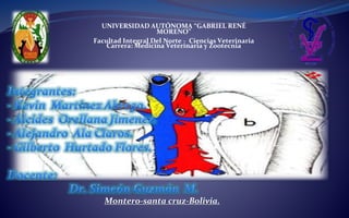UNIVERSIDAD AUTÓNOMA “GABRIEL RENÉ
MORENO”
Facultad Integral Del Norte - Ciencias Veterinaria
Carrera: Medicina Veterinaria y Zootecnia
Montero-santa cruz-Bolivia.
 