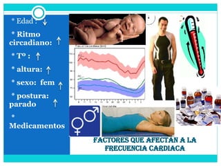 Factores que afectan a la frecuencia cardiaca   * Edad : * Ritmo circadiano: * Tº :  * altura:  * sexo:  fem  * postura:  parado * Medicamentos 