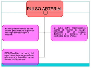 PULSO ARTERIAL IMPORTANCIA: La toma del pulso revela información valiosa referente a la integridad de su sistema cardiovascular.  El pulso sufre modificaciones cuando el volumen de sangre bombeada por el corazón disminuye o  cambios en la elasticidad de las arterias Es la expansión rítmica de una arteria, producida por el paso de la sangre bombeada por el corazón. 