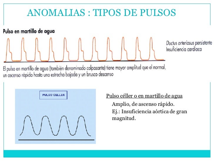 frecuencia cardiaca