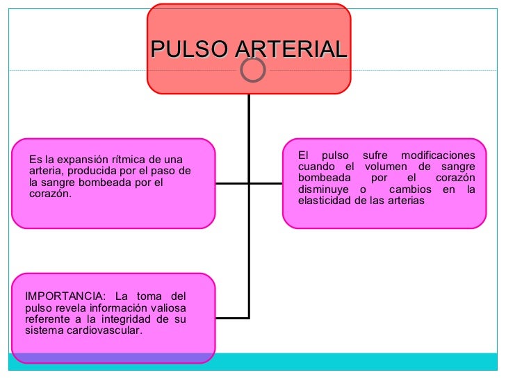 frecuencia cardiaca
