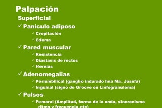Superficial Panículo adiposo Crepitación Edema Pared muscular Resistencia Diastasis de rectos Hernias Adenomegalias Periumbilical (ganglio indurado hna Ma. Josefa) Inguinal (signo de Groove en Linfogranuloma) Pulsos Femoral (Amplitud, forma de la onda, sincronismo  ritmo y frecuencia etc) Palpación 
