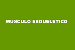 MUSCULO ESQUELETICO 