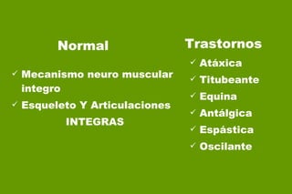 Mecanismo neuro muscular  integro Esqueleto Y Articulaciones INTEGRAS Atáxica Titubeante Equina Antálgica Espástica Oscilante Normal Trastornos 