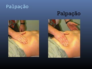 Palpação 
Palpação 
 