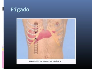 Fígado 
 