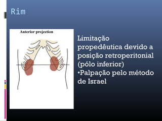 Rim 
Limitação 
propedêutica devido a 
posição retroperitonial 
(pólo inferior) 
•Palpação pelo método 
de Israel 
 