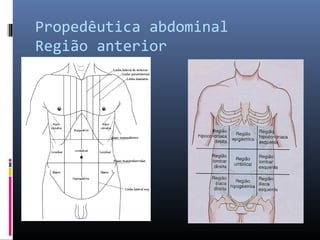 Propedêutica abdominal 
Região anterior 
 