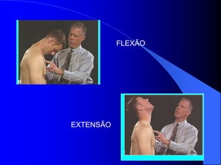 FLEXÃO
EXTENSÃO
 