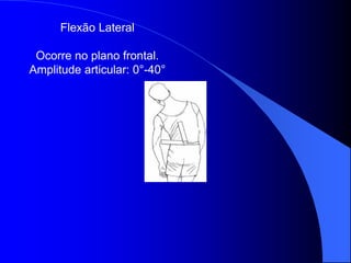 Flexão Lateral
Ocorre no plano frontal.
Amplitude articular: 0°-40°
 