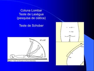 Coluna Lombar
Teste de Laségue
(pesquisa de ciática)
Teste de Schober
 