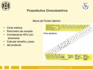 PRESENTACIÓN PROPEDEUTICA GINECOBSTÉTRICA.ppt
