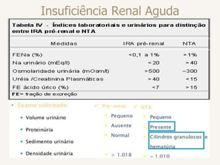 Insuficiência Renal Aguda
 