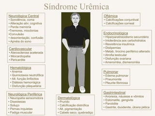 Síndrome Urêmica
Neurológica Central
• Sonolência, coma
• Alteração ativ. cognitiva
• Perda memória
•Tremores, mioclonias
•Convulsão
• desorientação, confusão
• Apnéia do sono
Cardiovascular
• Aterosclerose acelerada
• Miocardiopatia
• Pericardite
Hematológica
• Anemia
• Quimiotaxia neutrofílica
• Alt. função linfócitos
• Diátesis hemorrágica
• Disfunção plaquetária
Neurológica Periférica
• Neuropatia sensomotora
• Disestesias
• Soluço
• Pernas inquietas
• Fadiga muscular
Oftámica
• Calcificações conjuntival
• Calcificações corneal
Endocrinológica
• Hiperparatireoidismo secundário
• Intolerância aos carbohidratos
• Resistência insulínica
• Dislipemias
• Metab. tirocino periférico alterado
• Atrofia testicular
• Disfunção ovariana
• Amenorréia, dismenorréia
Pulmonar
• Edema pulmonar
• Pneumonite
• Pleurite fibrinosa
Gastrintestinal
• Anorexia, náuseas e vômitos
• Estomatite, gengivite
• Parotidite
• Gastrite, duodenite, úlcera pética
Dermatológica
• Prurido
• Calcificação distrófica
• Alt. pigmentação
• Cabelo seco, quebradiço
 