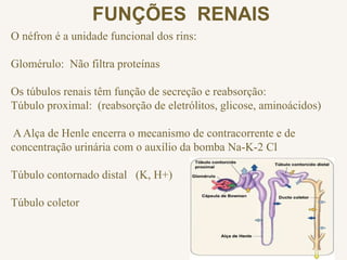 FUNÇÕES RENAIS
O néfron é a unidade funcional dos rins:
Glomérulo: Não filtra proteínas
Os túbulos renais têm função de secreção e reabsorção:
Túbulo proximal: (reabsorção de eletrólitos, glicose, aminoácidos)
AAlça de Henle encerra o mecanismo de contracorrente e de
concentração urinária com o auxílio da bomba Na-K-2 Cl
Túbulo contornado distal (K, H+)
Túbulo coletor
 