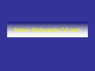 Nervo Abducente (VI par)
 